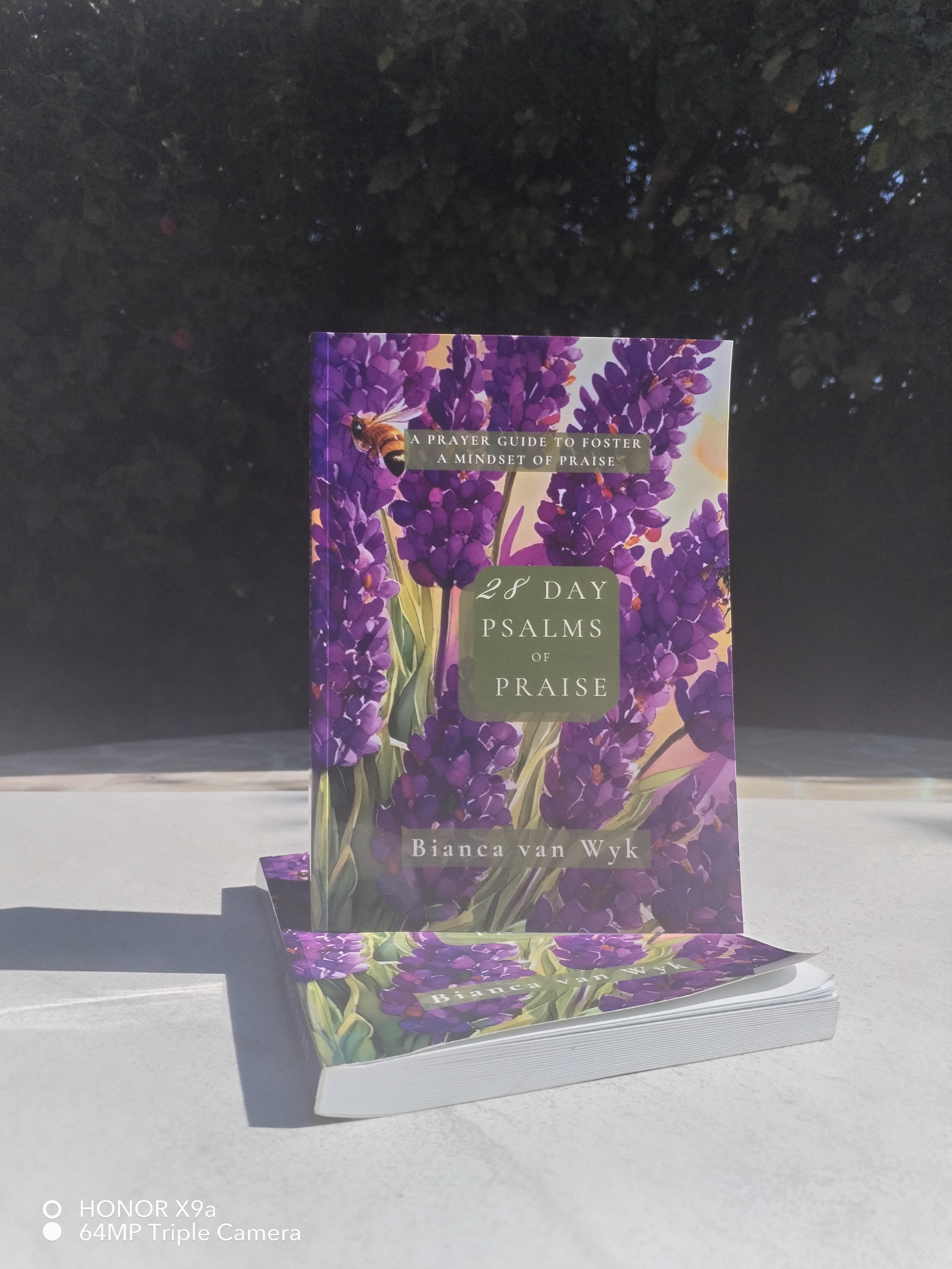 28 Day Psalms of Praise